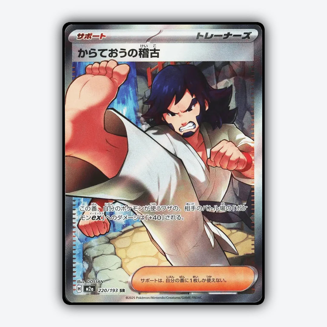 Black Belt's Training 220/193 - Mega Dream ex Set - Card Rug (JP)