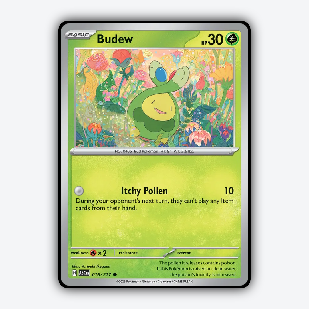 Budew 016/217 - Ascended Heroes Set - Card Rug