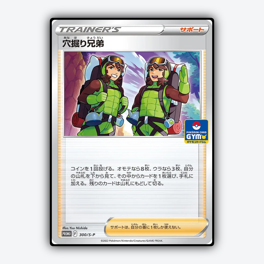 Digging Duo #300 - Sword & Shield Promos Set - Card Rug