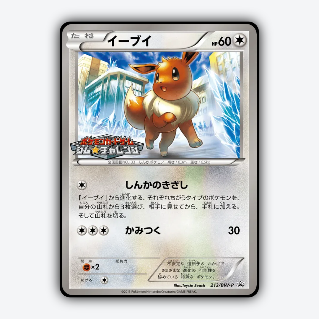 Eevee 213/BW-P - Black & White Promos Set - Card Rug (JP)