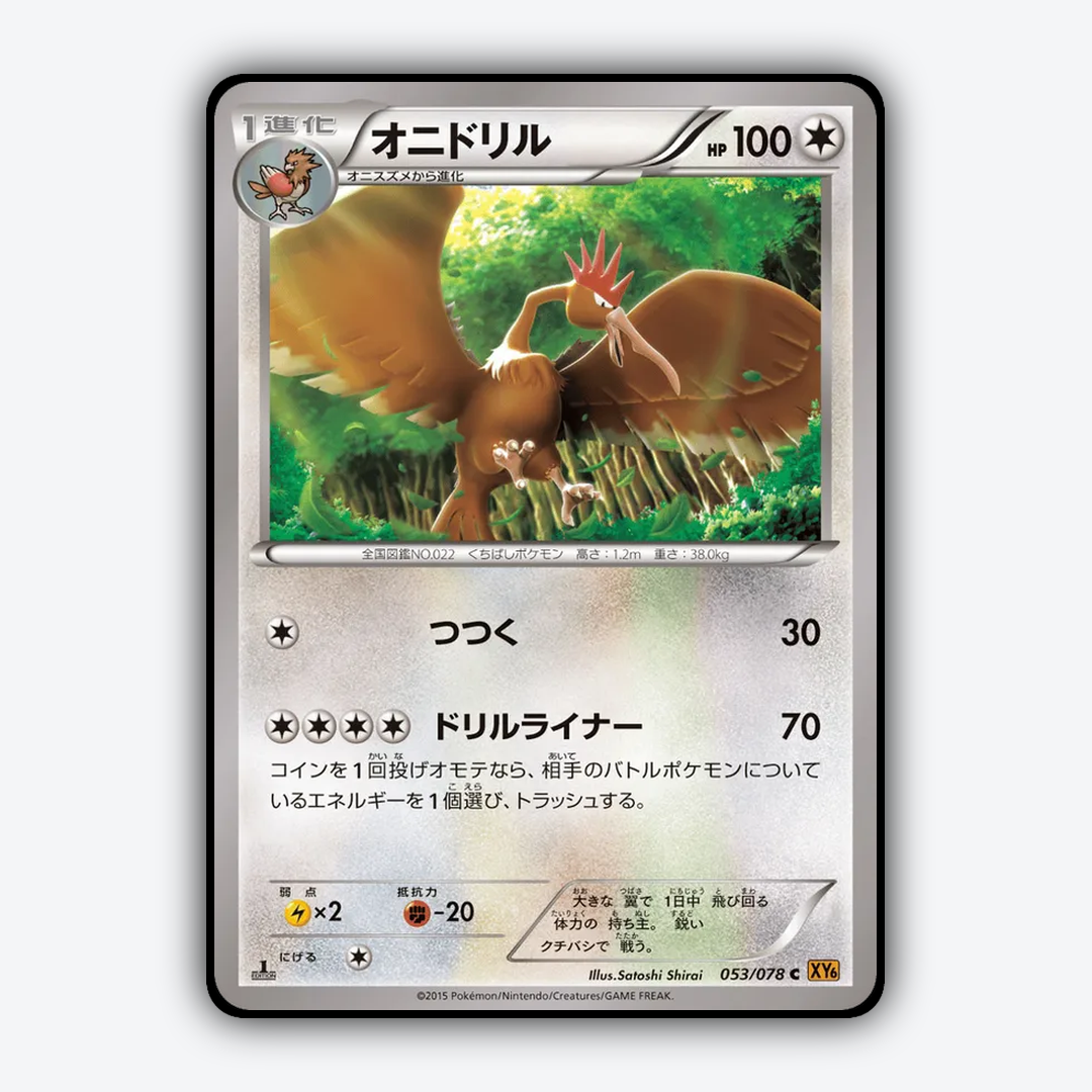 Fearow 053/078 - Emerald Break Set - Card Rug (JP)