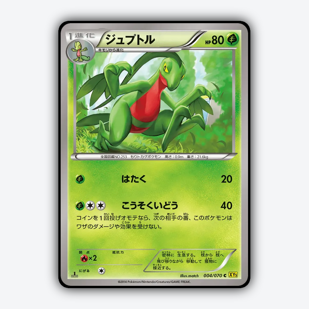 Grovyle 004/070 - Gaia Volcano Set - Card Rug (JP)