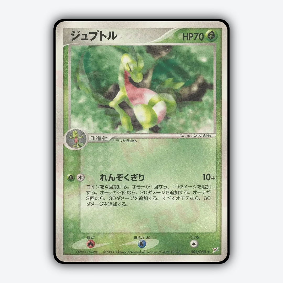 Grovyle 005/080 - Magma vs Aqua: Two Ambitions Set - Card Rug (JP)