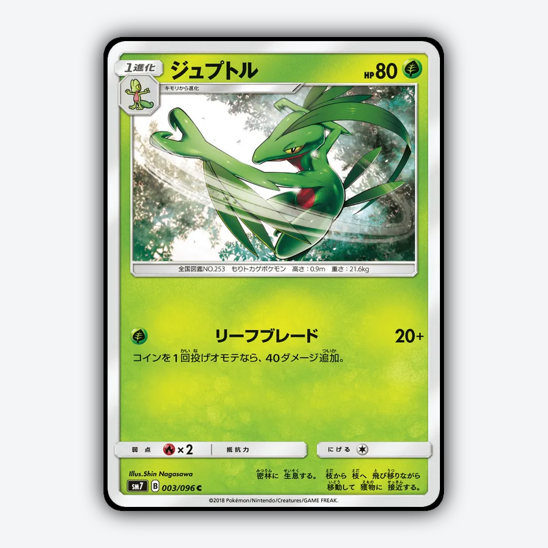 Grovyle 003/096 - Sky-Splitting Charisma Set - Card Rug (JP)