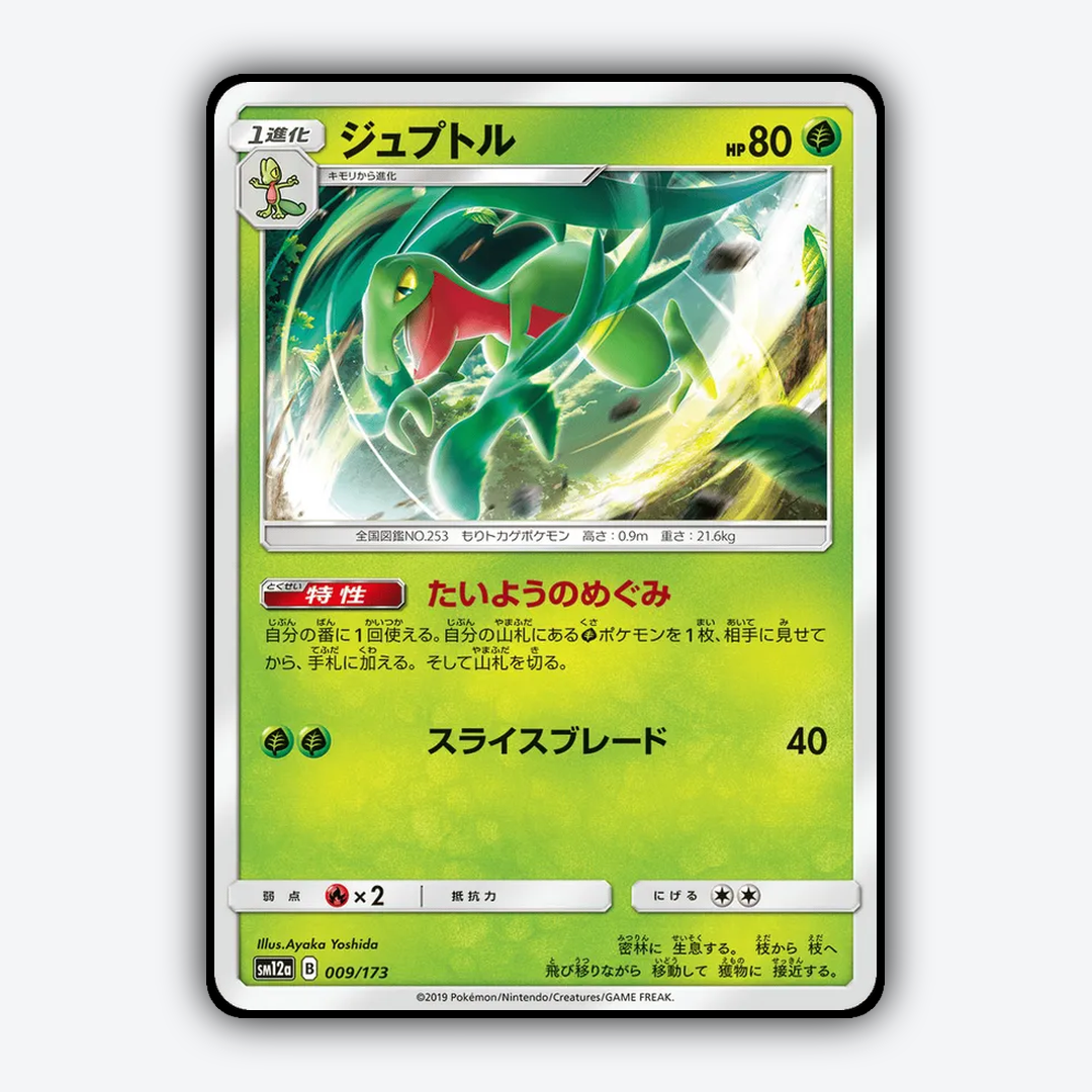Grovyle 009/173 - TAG TEAM GX: Tag All Stars Set - Card Rug (JP)
