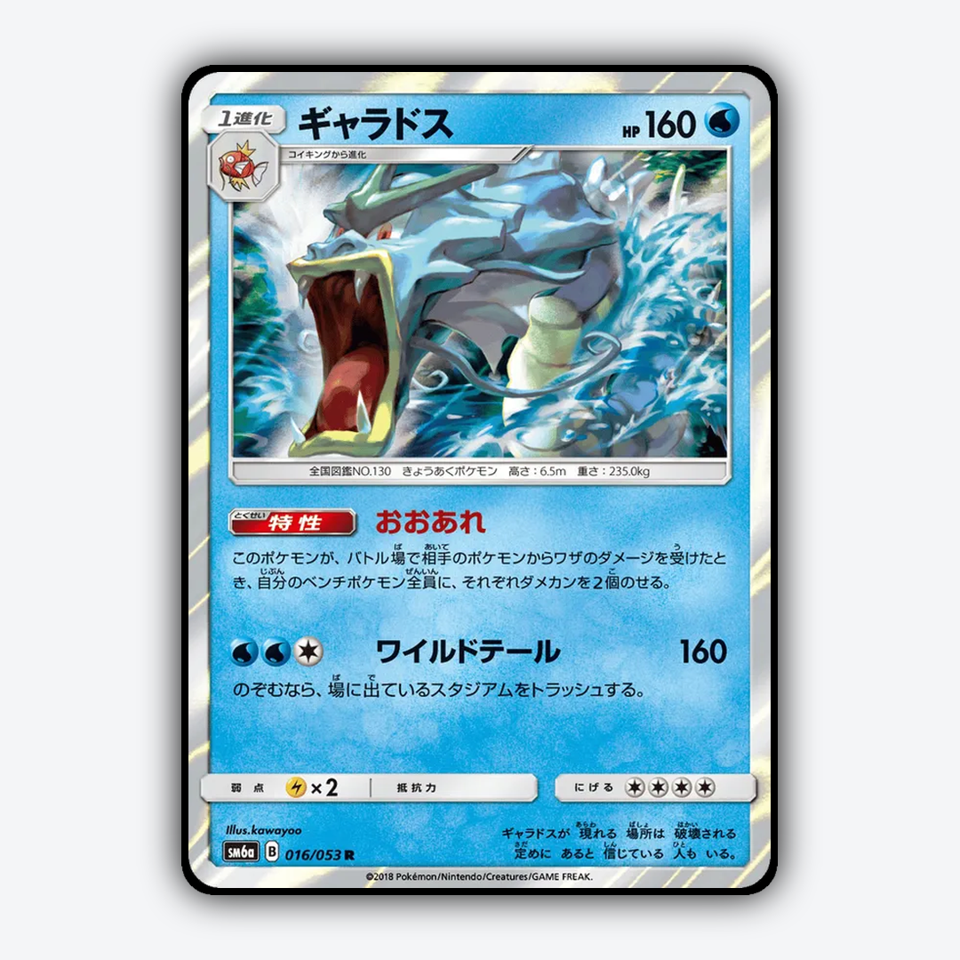 Gyarados 016/053 - Dragon Storm Set - Card Rug (JP)