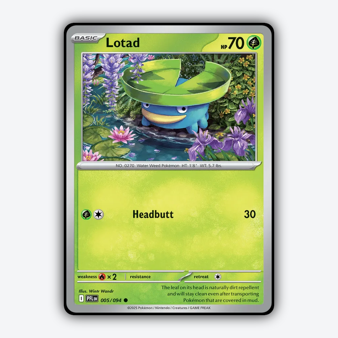 Lotad 005/094 - Phantasmal Flames Set - Card Rug