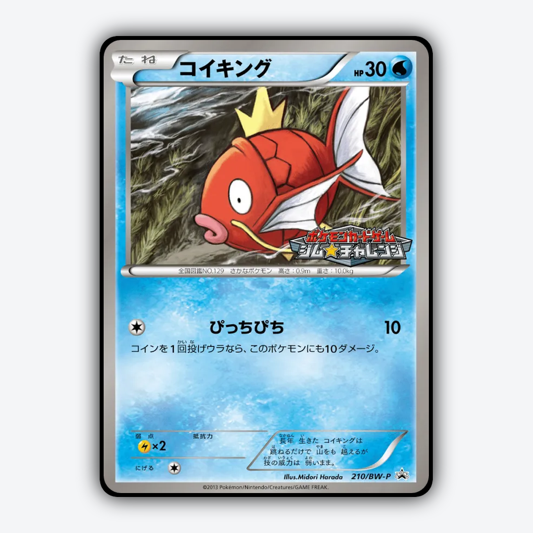 Magikarp 210/BW-P - Black & White Promos Set - Card Rug (JP)