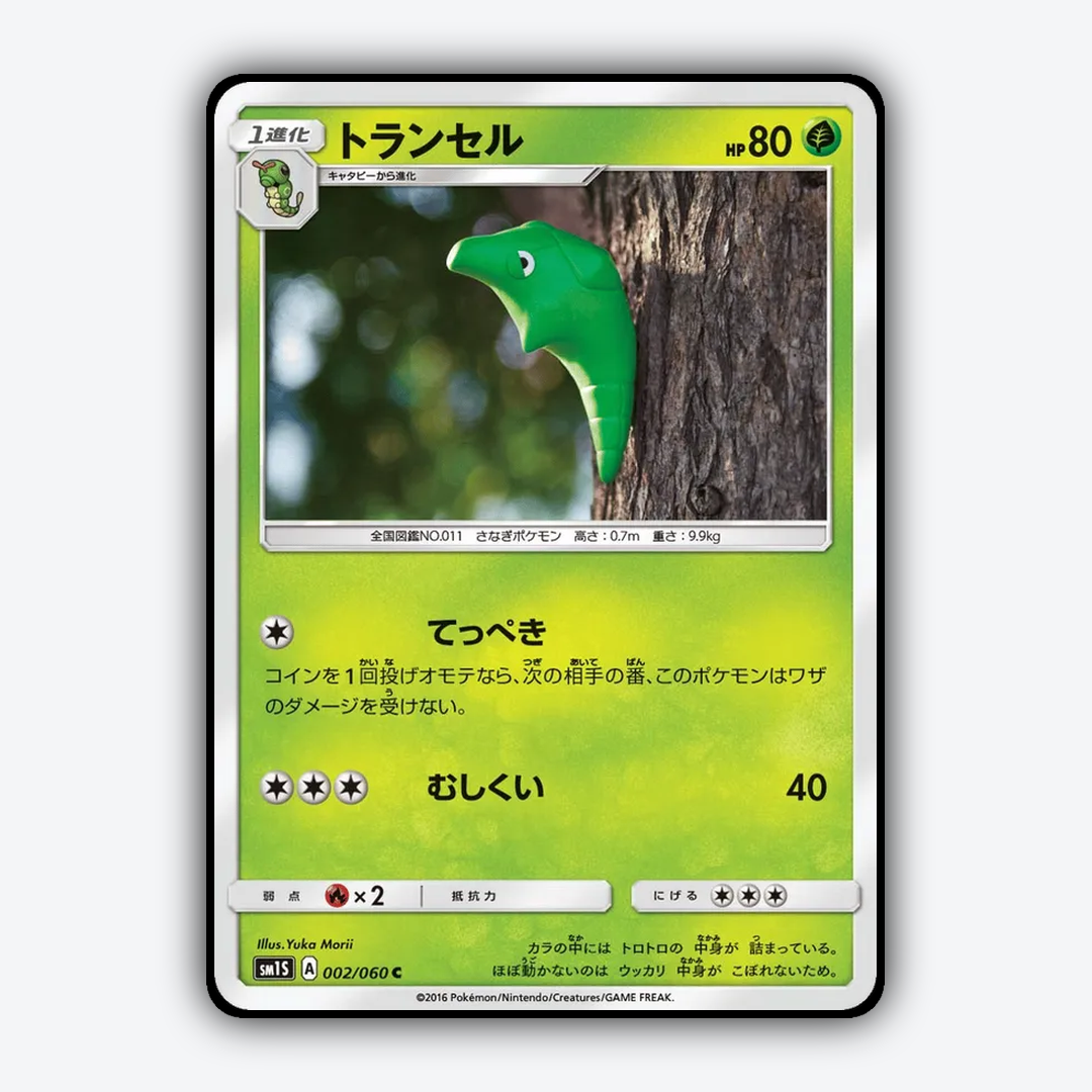 Metapod 002/060 - Collection Sun Set - Card Rug (JP)