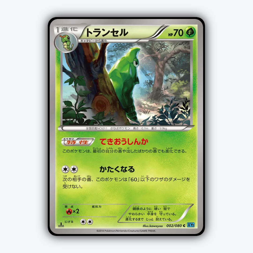 Metapod 002/080 - Wild Blaze Set - Card Rug (JP)