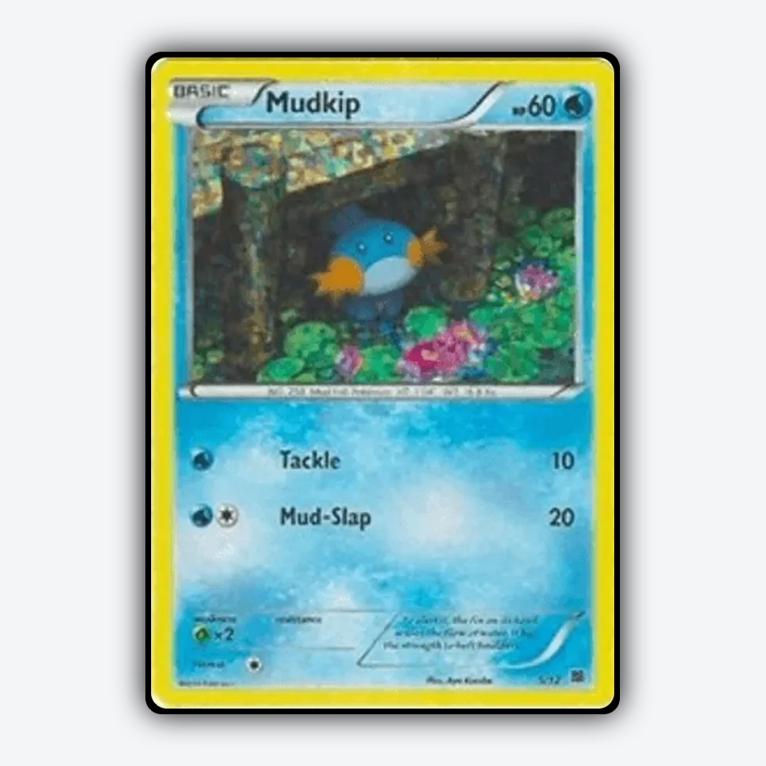 Mudkip 005/12 - McDonald's Collection 2015 Set - Card Rug