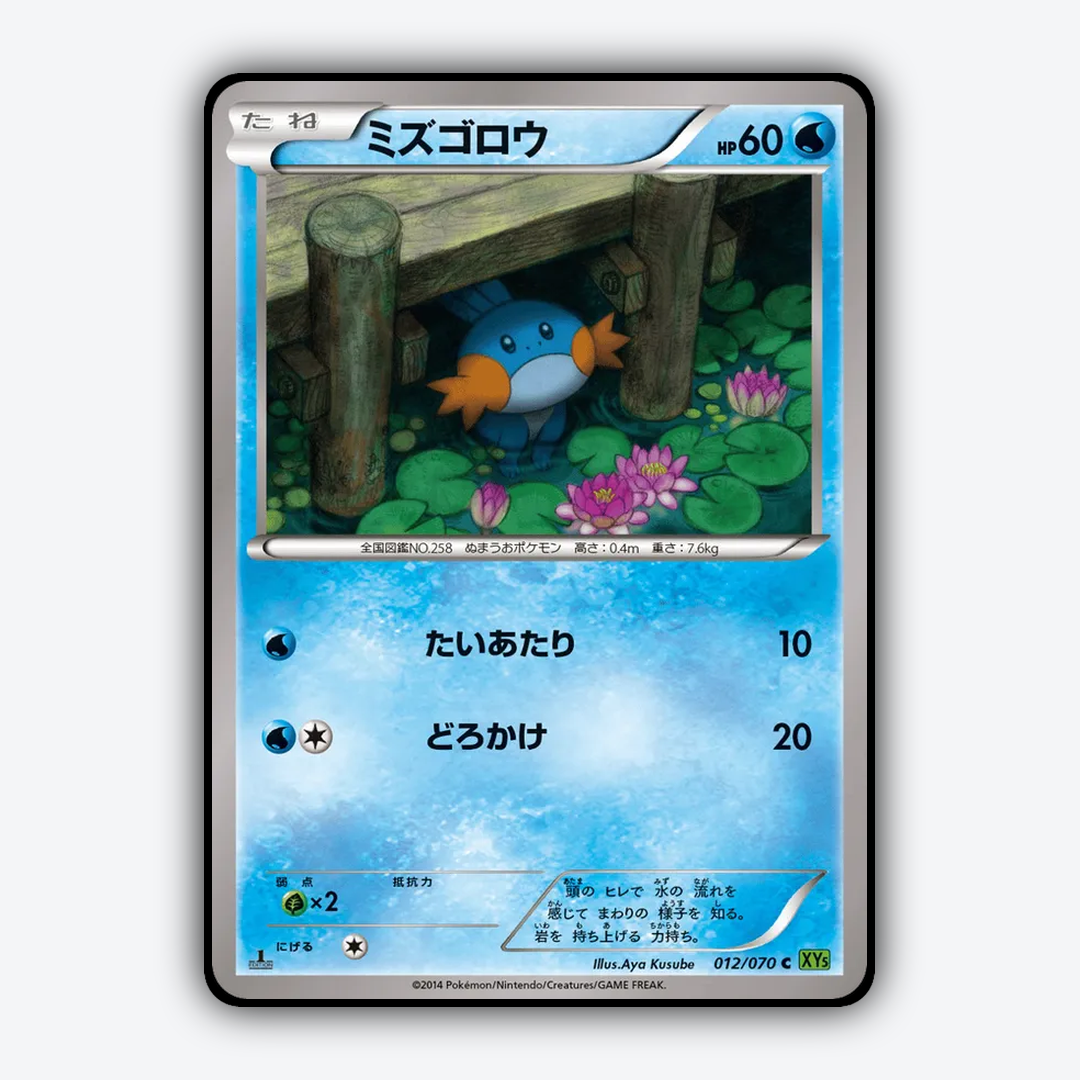 Mudkip 012/070 - Tidal Storm Set - Card Rug (JP)
