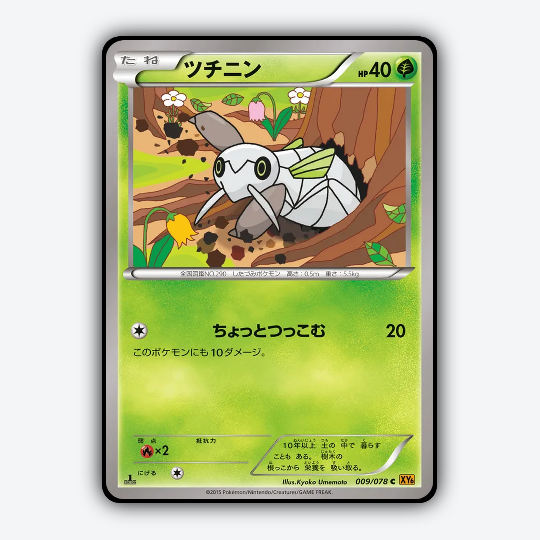 Nincada 009/078 - Emerald Break Set - Card Rug (JP)