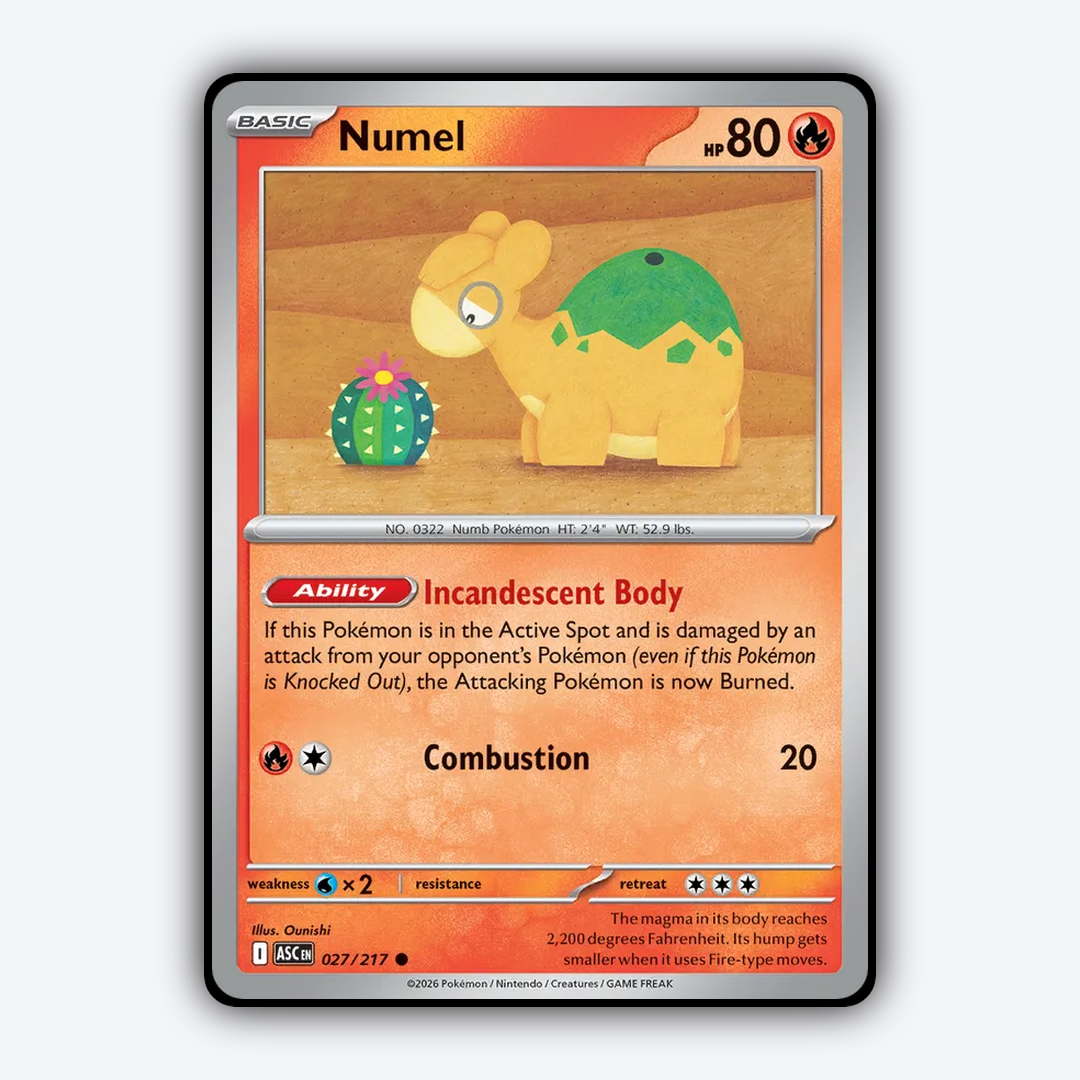 Numel 027/217 - Ascended Heroes Set - Card Rug
