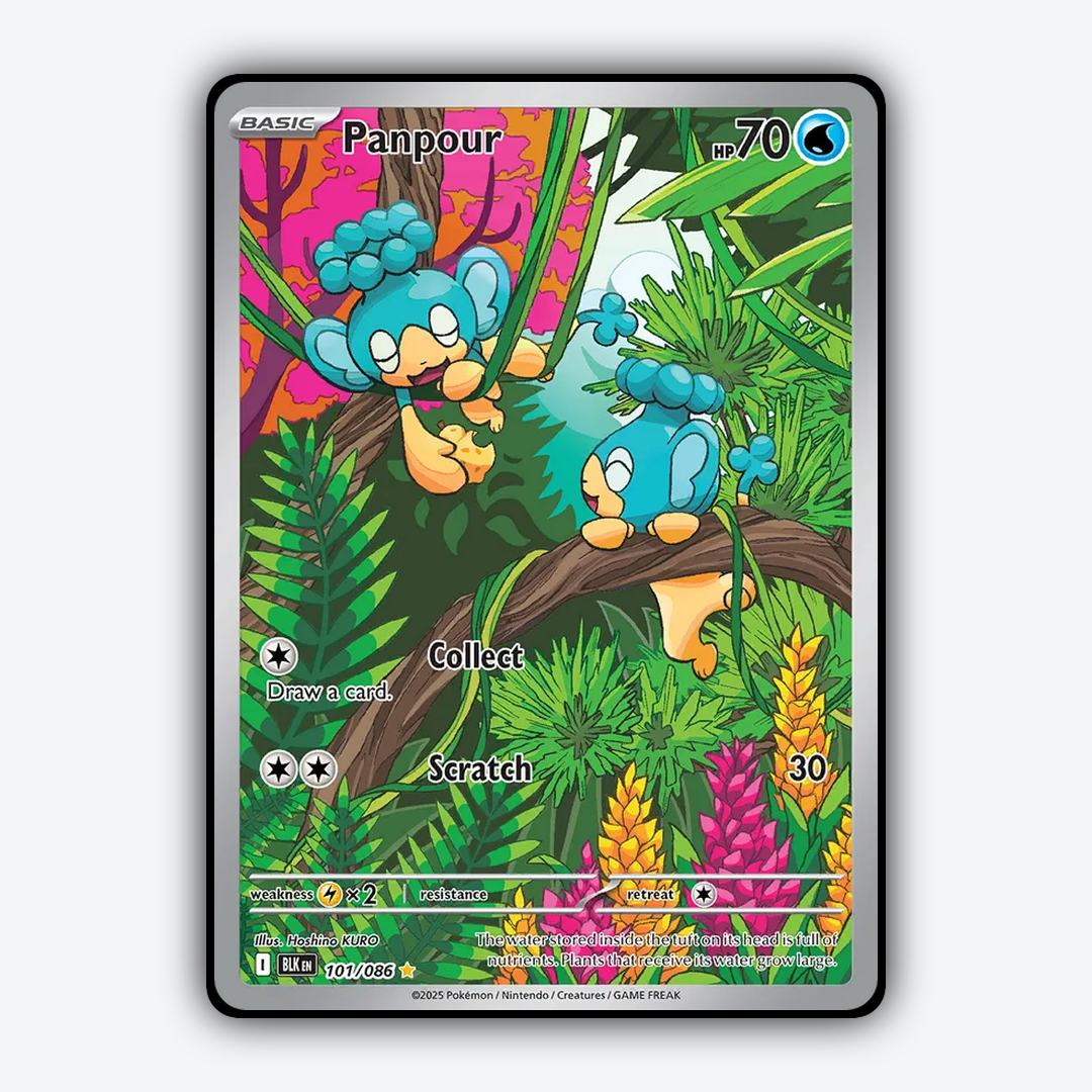 Panpour #101 - Black Bolt Set - Card Rug