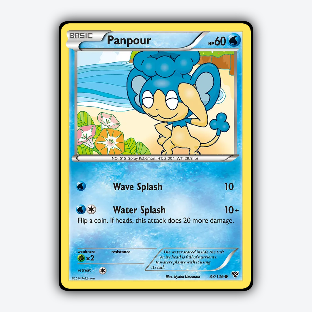 Panpour 037/146 - XY Set - Card Rug