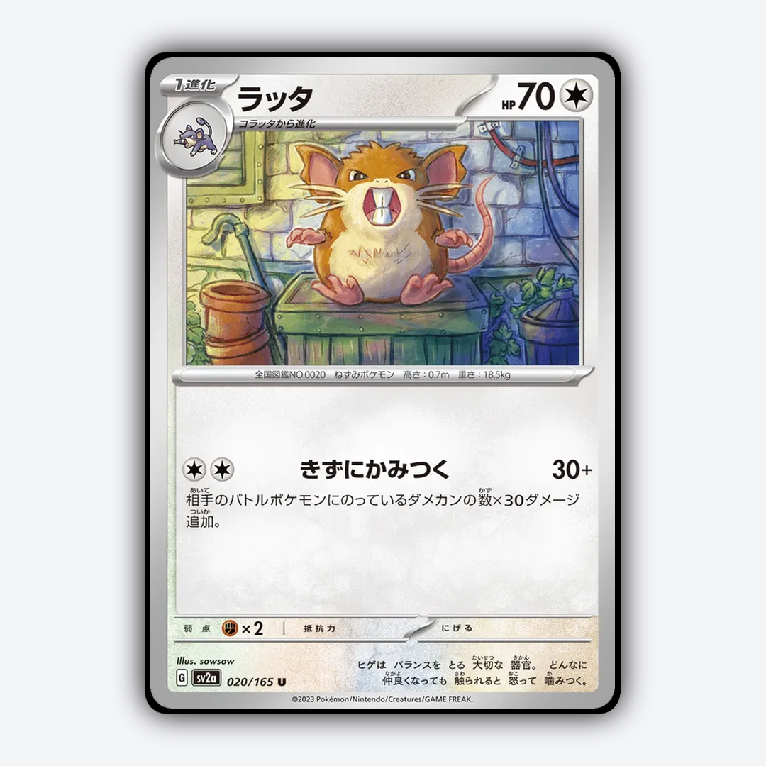 Raticate 020/165 - Pokémon Card 151 Set - Card Rug (JP)