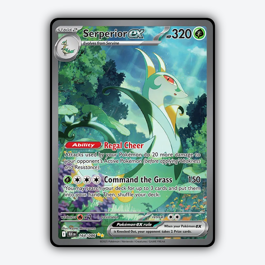 Serperior ex #164 - Black Bolt Set - Card Rug