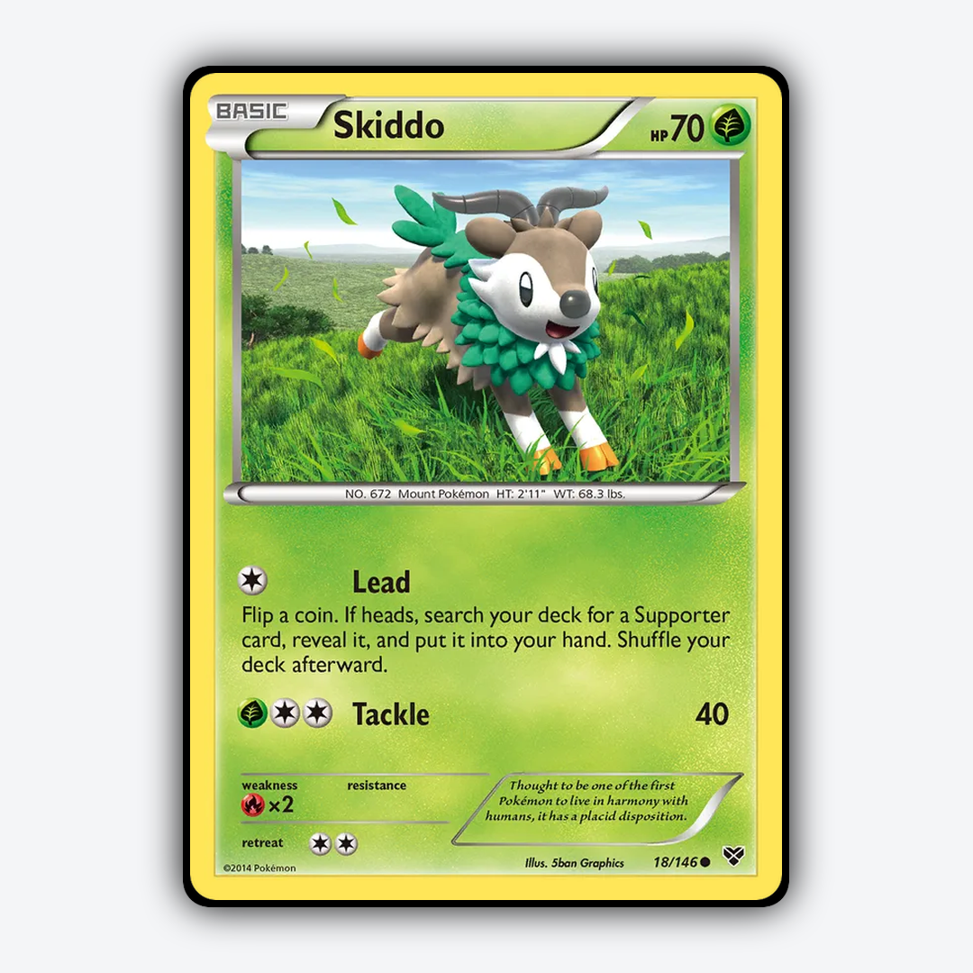 Skiddo 018/146 - XY Set - Card Rug