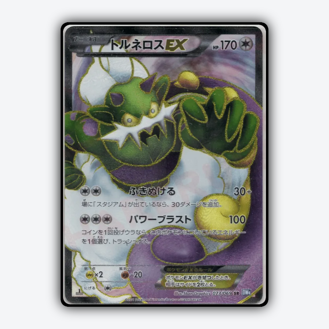 Tornadus-EX 073/069 - Dark Rush Set - Card Rug (JP)