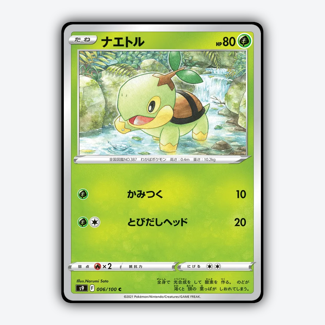 Turtwig 006/100 - Star Birth Set - Card Rug (JP)