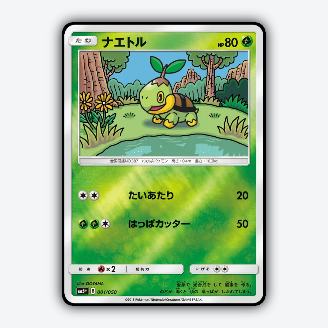 Turtwig 001/050 - Ultra Force Set - Card Rug (JP)
