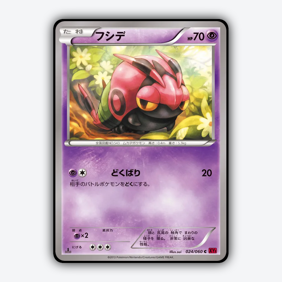 Venipede 024/060 - Collection Y Set - Card Rug (JP)