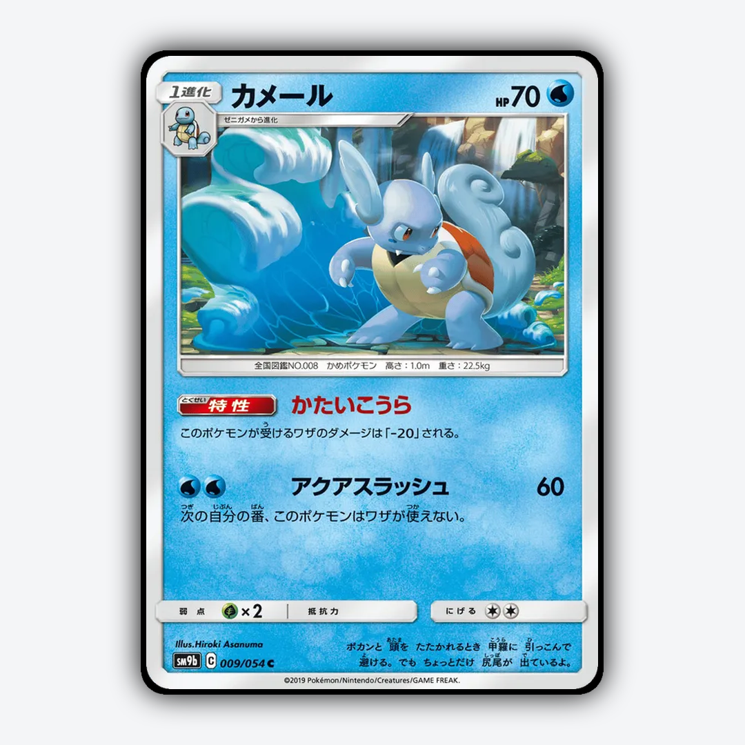 Wartortle 009/054 - Full Metal Wall Set - Card Rug (JP)