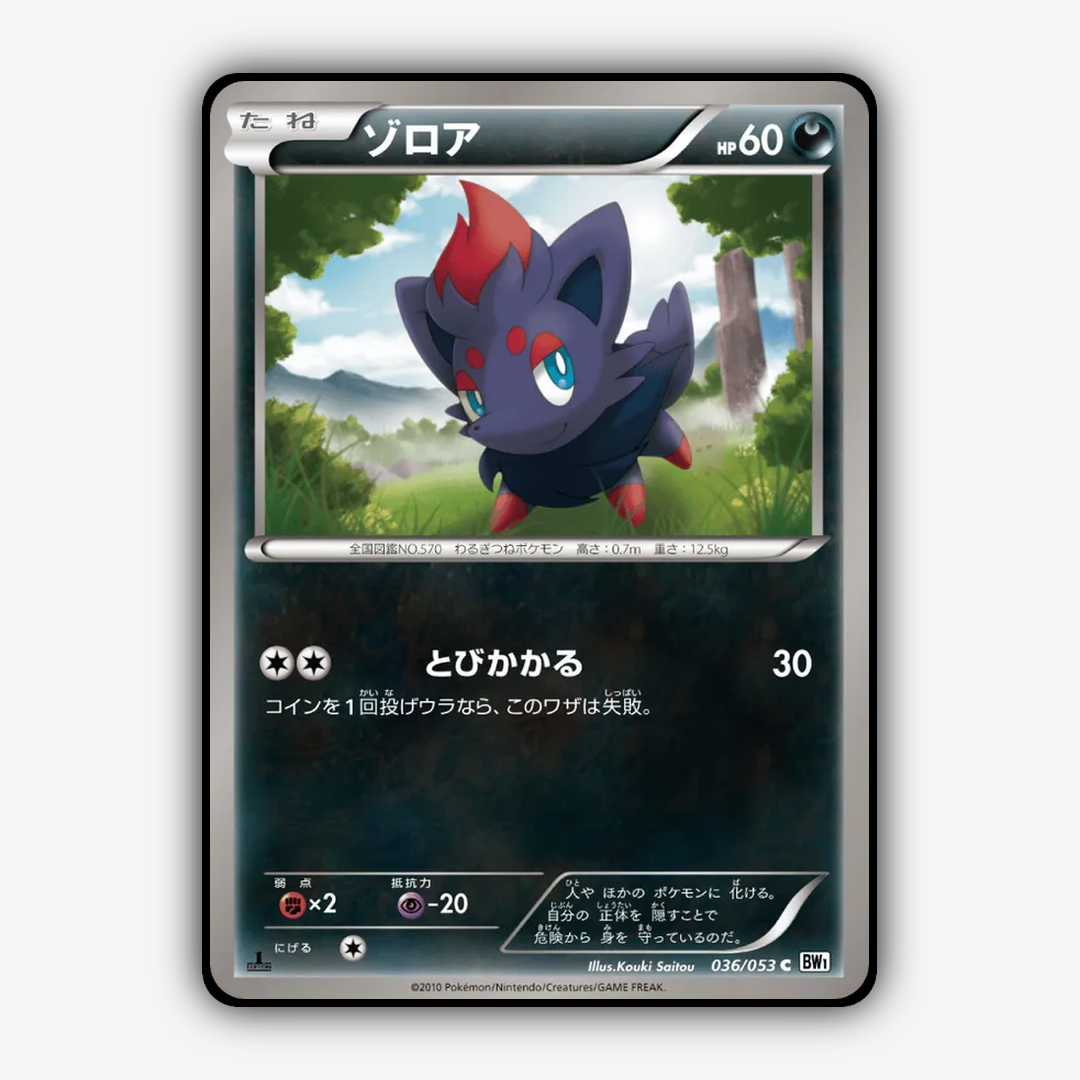 Zorua 036/053 - White Collection Set - Card Rug (JP)